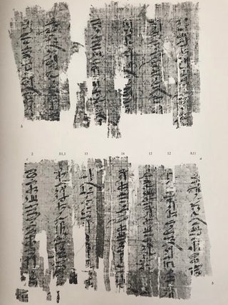 The Ramesseum papyri[newline]M0614d-06.jpg