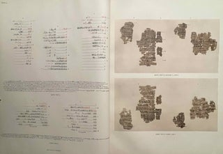 The Wilbour papyrus. Vol. I: Plates