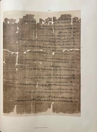 The Wilbour papyrus. Vol. I: Plates