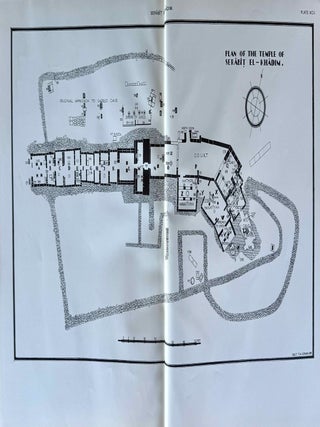 The inscriptions of Sinai. Part I: Introduction and plates. 2nd, revised edition.[newline]M0626h-15.jpeg