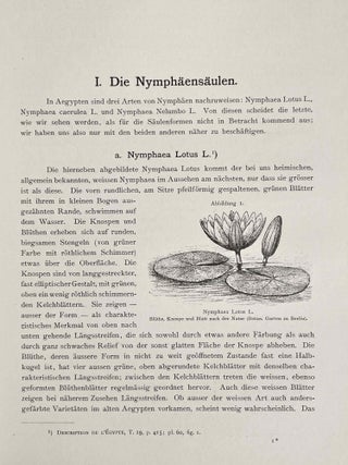 Die ägyptische Pflanzensäule. Ein Kapitel zur Geschichte des Pflanzenornaments.[newline]M0640-06.jpeg
