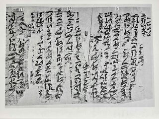 The report about the dispute of a man and his ba. Papyrus Berlin 3024.[newline]M0671b-16.jpeg