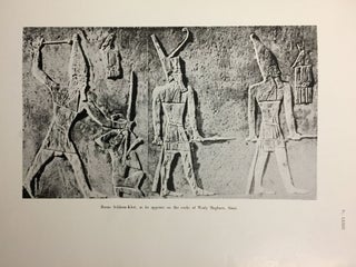 Horus Sekhemkhet, the unfinished step pyramid. Vol. I [All published][newline]M0675a-34.jpg