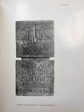 Enquêtes sur les sacerdoces et les sanctuaires égyptiens à l'époque dite "éthiopienne" XXVe dynastie[newline]M0678b-13.jpg