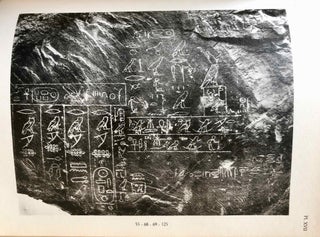 Nouvelles inscriptions rupestres du Ouadi Hammamat[newline]M0679a-37.jpg