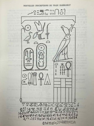 Nouvelles inscriptions rupestres du Ouadi Hammamat[newline]M0679b-07.jpeg