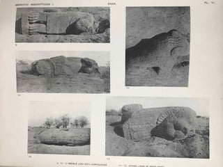 The island of Meroë & Meroïtic inscriptions. Part I: Sôba to Dangêl. Meroïtic inscriptions. Part II: Napata to Philae and Miscellaneous (complete set)[newline]M0724a-13.jpeg