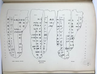 Two hieroglyphic papyri from Tanis. I. The sign papyrus (a syllabary). II. The geographical papyrus (an almanach). I by F.Ll. Griffith. II by W.M.F. Petrie with remarks by Heinrich Brugsch[newline]M0730e-08.jpg