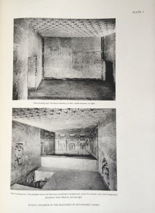 The texts in the mastabeh of Sen-Wosret-Ankh at Lisht. With plates by Lindsley F. Hall from photographs by Harry Burton.[newline]M0773a-03.jpg