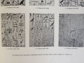 The texts in the mastabeh of Sen-Wosret-Ankh at Lisht. With plates by Lindsley F. Hall from photographs by Harry Burton.[newline]M0773a-04.jpg