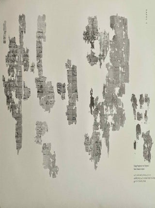 Hieratische Papyri aus Tebtunis, I (The Carlsberg Papyri, vol. 2) (2 volumes, complete set)[newline]M0783h-13.jpeg