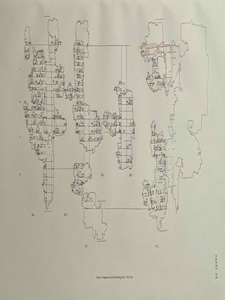 Hieratische Papyri aus Tebtunis, I (The Carlsberg Papyri, vol. 2) (2 volumes, complete set)[newline]M0783h-14.jpeg