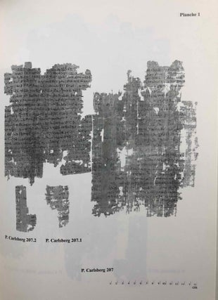 Demotic Texts from the Collection (The Carlsberg Papyri, vol. 1)[newline]M0800a-04.jpg
