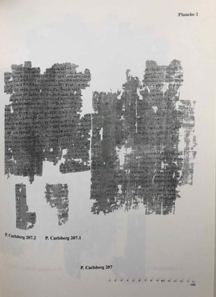 Demotic Texts from the Collection (The Carlsberg Papyri, vol. 1)
