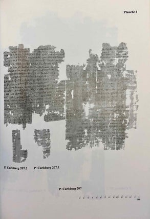 Demotic Texts from the Collection (The Carlsberg Papyri, vol. 1)[newline]M0800b-07.jpg