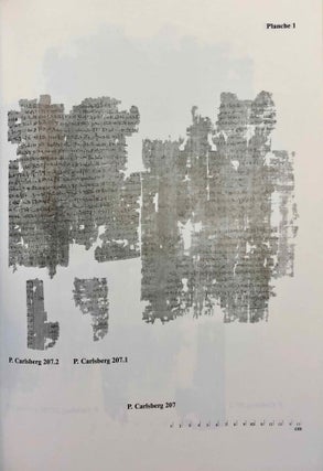 Demotic Texts from the Collection (The Carlsberg Papyri, vol. 1)