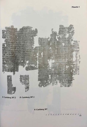 Demotic Texts from the Collection (The Carlsberg Papyri, vol. 1)
