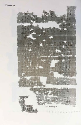 Demotic Texts from the Collection (The Carlsberg Papyri, vol. 1)