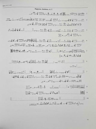 Grain Transport in the Ramesside Period. Papyrus Baldwin and Papyrus Amiens.[newline]M0854d-10.jpeg