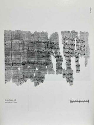 Grain Transport in the Ramesside Period. Papyrus Baldwin and Papyrus Amiens.[newline]M0854d-11.jpeg