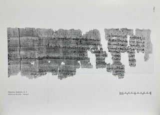 Grain Transport in the Ramesside Period. Papyrus Baldwin and Papyrus Amiens.