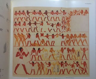 Asasif V. Das Grab des Inj-jtj.f. Band III: Die Wandmalereien der XI. Dynastie.[newline]M0855a-06.jpg