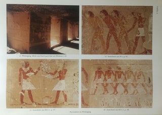 Asasif V. Das Grab des Inj-jtj.f. Band III: Die Wandmalereien der XI. Dynastie.[newline]M0855a-08.jpg