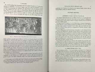 Rapports sur les fouilles de Deir el-Medineh (1926)