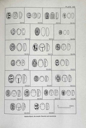 The Pharaonic Inscriptions from Faras. (Faras V).[newline]M0898-09.jpeg