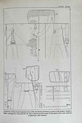 The Pharaonic Inscriptions from Faras. (Faras V).[newline]M0898-10.jpeg