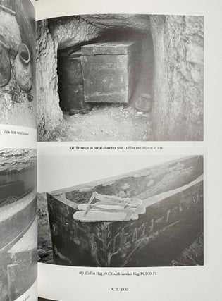 The tombs of El-Hagarsa. Vol. I, II & III (complete set)[newline]M0906-10.jpeg