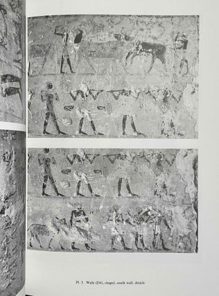 The tombs of El-Hagarsa. Vol. I, II & III (complete set)[newline]M0906-16.jpeg