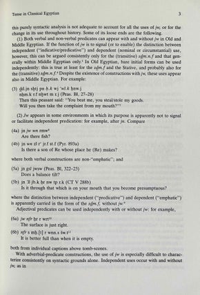 Essays on Egyptian Grammar