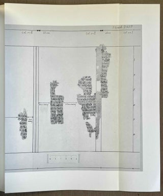 From the contents of the libraries of the Suchos temples in the Fayyum. Part II: From ancient Egyptian Hermetic writings.