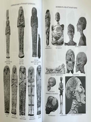Refugees for eternity. The royal mummies of Thebes. Part four. Identifying the Royal Mummies.[newline]M10051a-09.jpeg