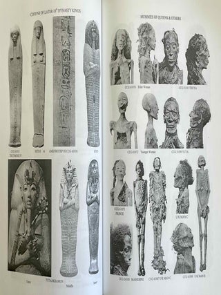 Refugees for eternity. The royal mummies of Thebes. Part four. Identifying the Royal Mummies.[newline]M10051a-10.jpeg