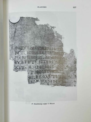 Catalogue des fragments coptes de la biblioth&egrave;que nationale et universitaire de Strasbourg. I. Fragments bibliques.[newline]M10121-05.jpeg