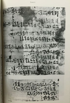 Die chronologische Fixierung des ägyptischen Mittleren Reiches nach dem Tempelarchiv von Illahun[newline]M1022c-04.jpg