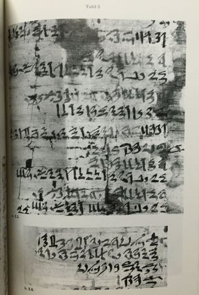 Die chronologische Fixierung des ägyptischen Mittleren Reiches nach dem Tempelarchiv von Illahun