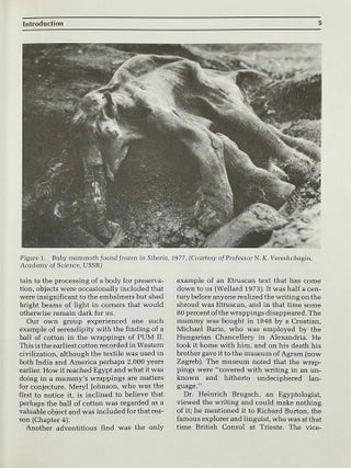 Mummies, Disease & Ancient Cultures[newline]M10268-06.jpeg