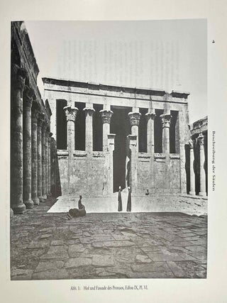 Die Dekoration der S&auml;ulen im Pronaos des Tempels von Edfu[newline]M10279-06.jpeg