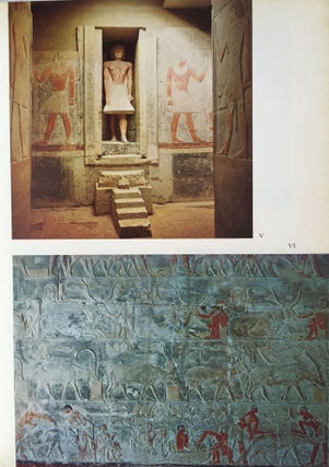 Saqqara. The royal cemetary of Memphis. Excavations and discoveries since 1850.[newline]M1028a-04.jpg