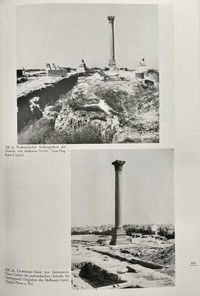 Das Serapeum in Alexandria. Untersuchungen zur Architektur und Baugeschichte des Heiligtums von der frühen ptolemäischen Zeit bis zur Zerstörung 391 n. Chr.