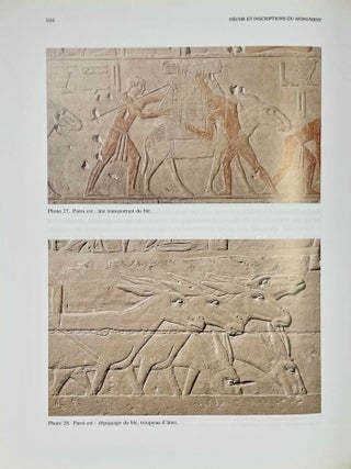 Le Mastaba d'Akhethetep. Fouilles du Louvre &agrave; Saqqara I.[newline]M10372-08.jpeg