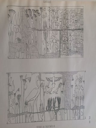 Karnak, &eacute;tude topographique et arch&eacute;ologique. Tome II: Planches[newline]M1039-03.jpg