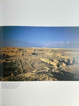Christian Egypt. Coptic Art and Monuments Through Two Millennia.[newline]M10436-07.jpeg