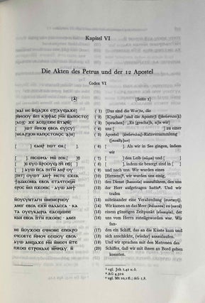 Gnostische und Hermetische Schriften aus Codex II und Codex VI