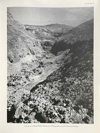 The Royal Tomb at El-Amarna. Part 1: Objects. Part 2: The reliefs, inscriptions and architecture (The Rock Tombs of El-Amarna, part 7, complete set)[newline]M1049l-17.jpeg
