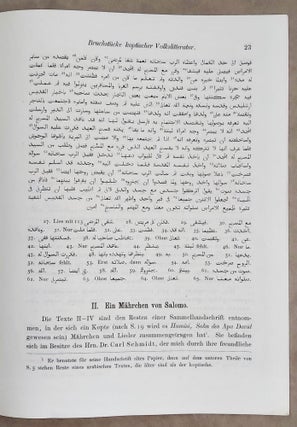 Bruchstücke koptischer Volkslitteratur[newline]M1057a-03.jpeg