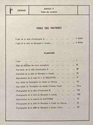 Le temple d'Amada. Cahier V: Les inscriptions historiques.[newline]M10596a-08.jpeg